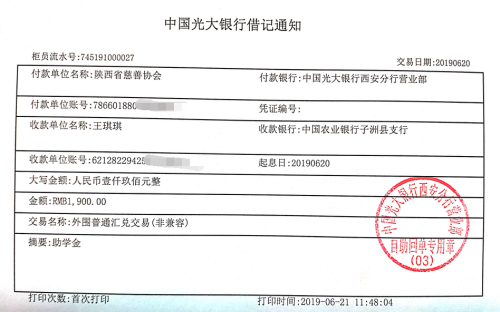 教育资助网给王琪琪同学转款的电子回单